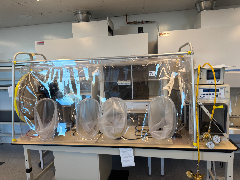 Image of Coy Anaerobic Chamber